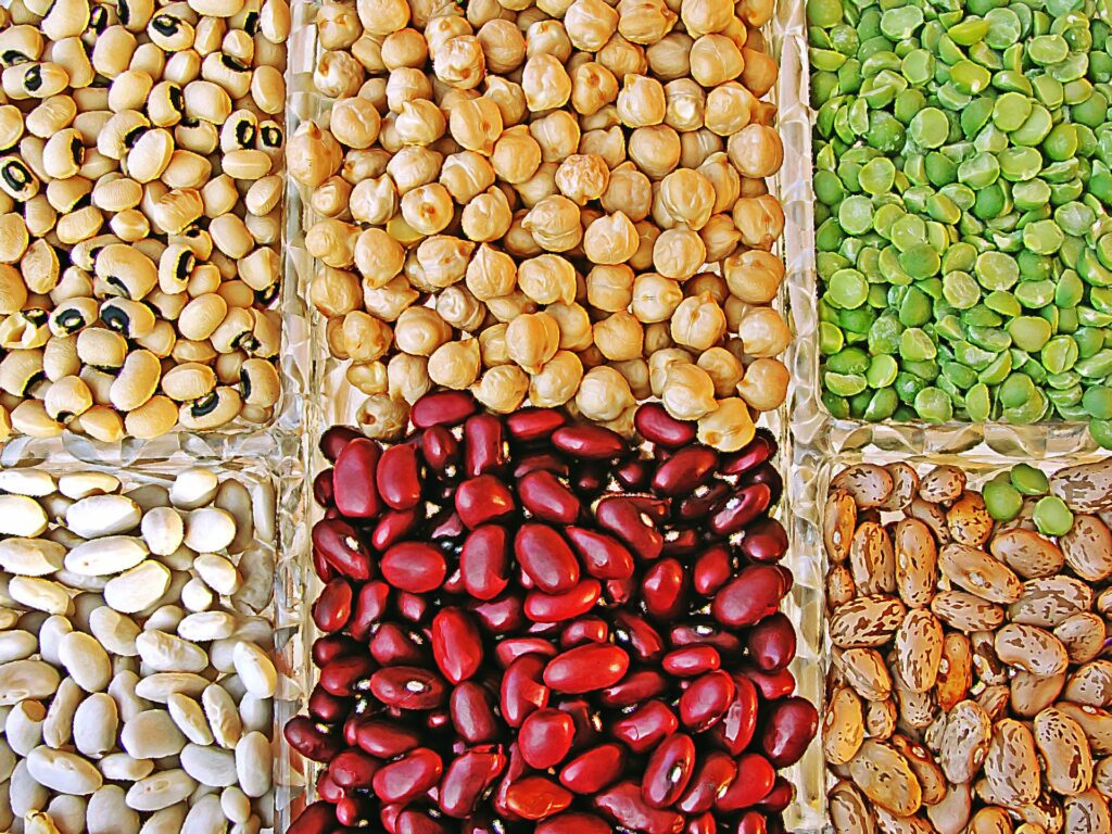 fshd-alimentation-proteines