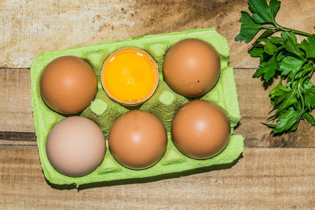 fshd-alimentation-oeufs